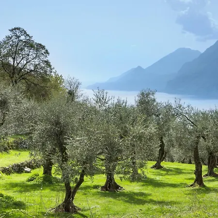 Rustico Siresola - Antico Casale * Μαλτσεζίνε